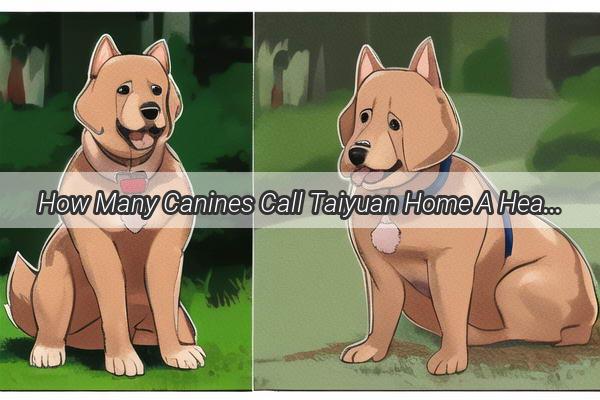 How Many Canines Call Taiyuan Home A Heartwarming Tale of Mans Best Friend in the Ancient City